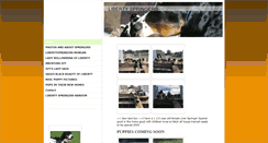 Desktop Screenshot of libertyspringers.com