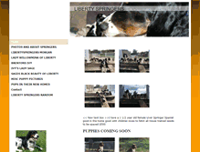 Tablet Screenshot of libertyspringers.com